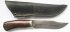bars-altai1-av1-sm.jpg