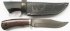 bars-altai2-av1-sm.jpg