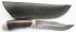 bars-altai12-dvmg1-sm.jpg