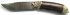bars-altai1-dvmg-sm.jpg