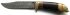 bars-altai2-dsvlg-sm.jpg