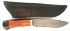 bars-akula-dlv1-sm.jpg
